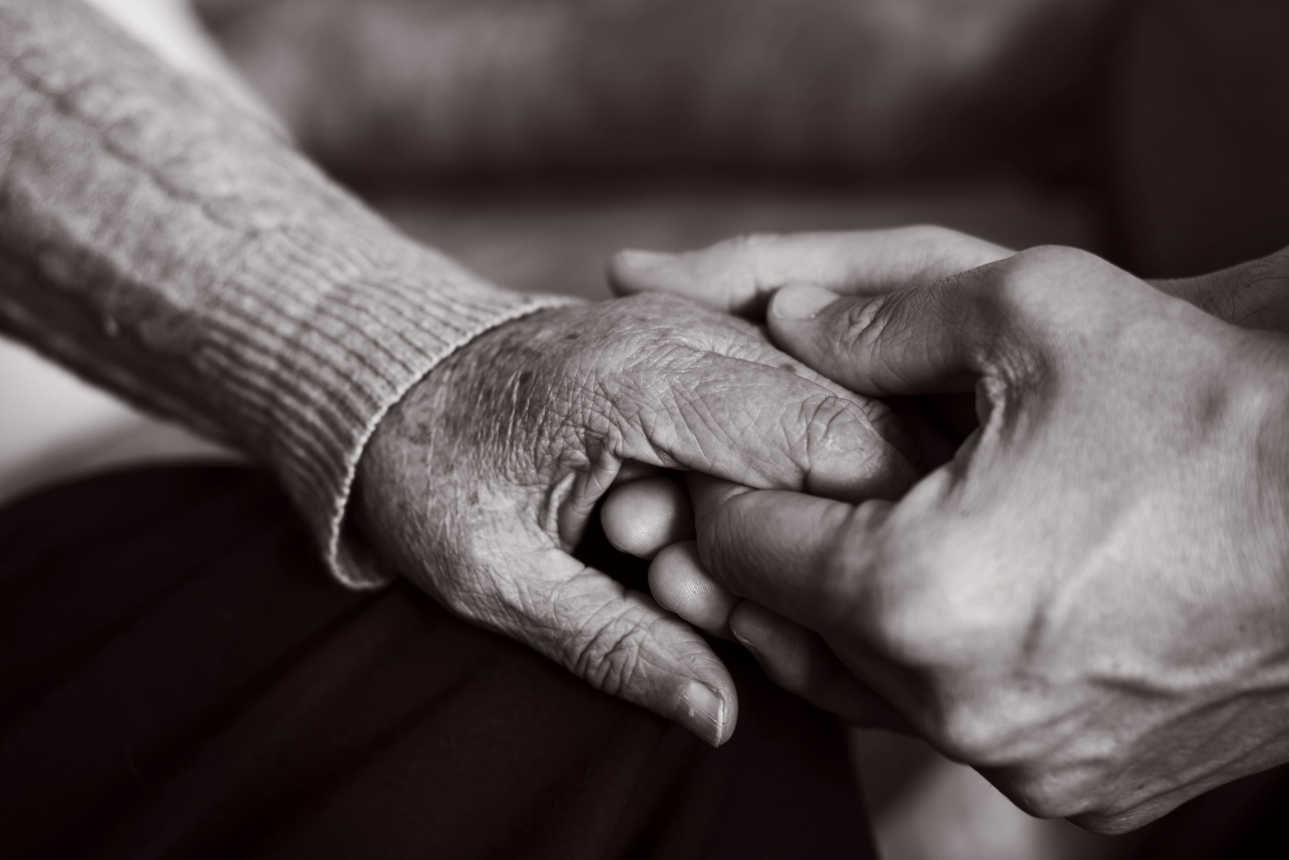 closeup of a young caucasian man holding the hand of an old caucasian woman with affection, in black and white