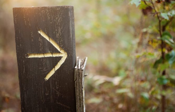 yellow arrow on wood post along a hiking trail in the woods